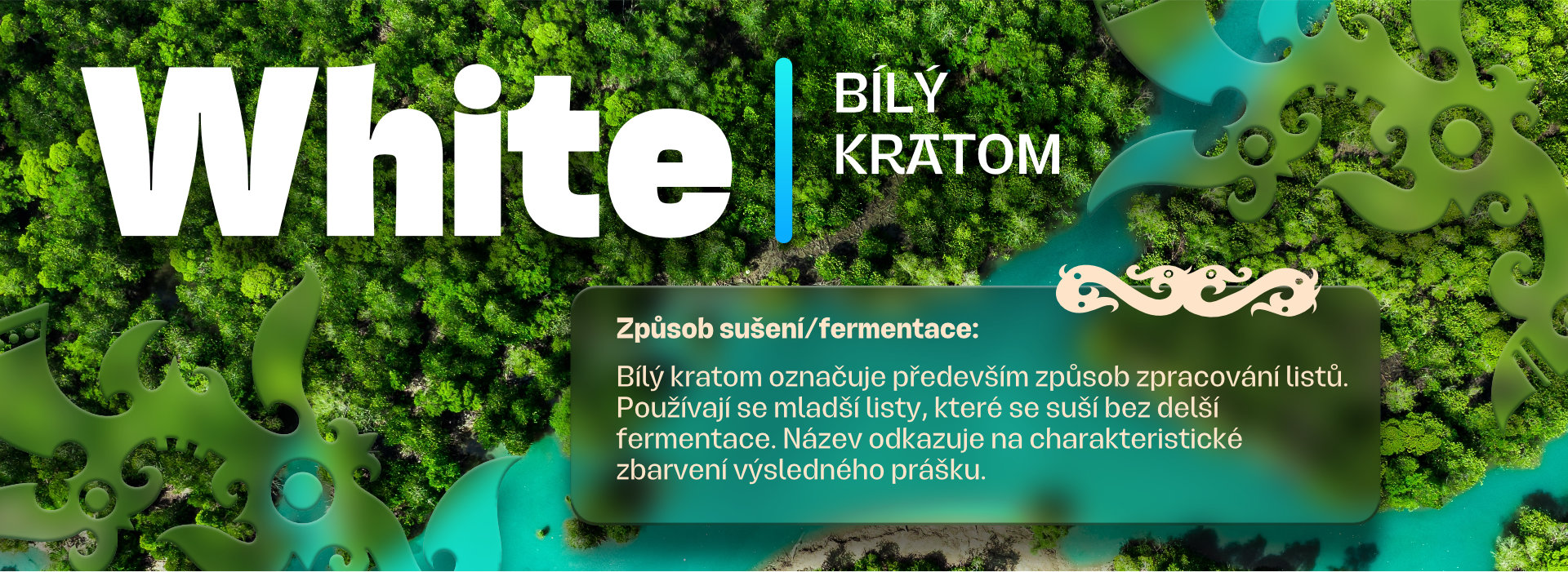 BNR Kategorie WHITE 1920x700_a